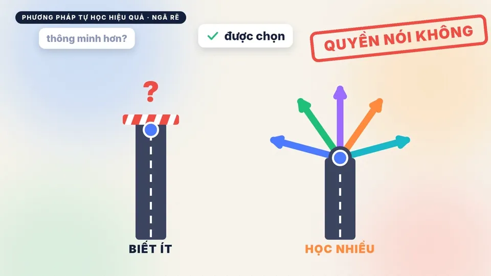 Con đường với nhiều ngã rẽ